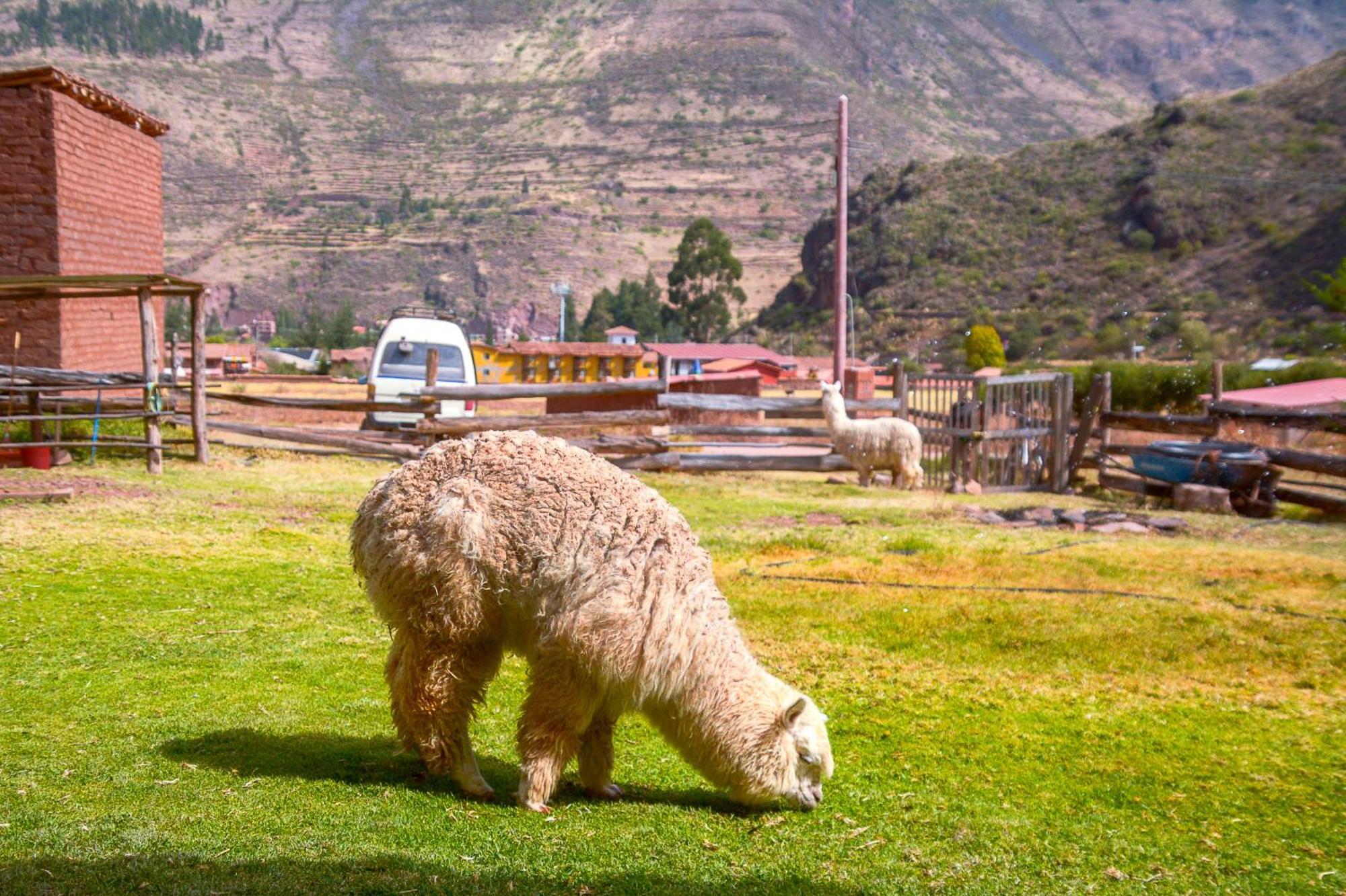 Ferienwohnung Manchitas Wasi Pisac Exterior foto
