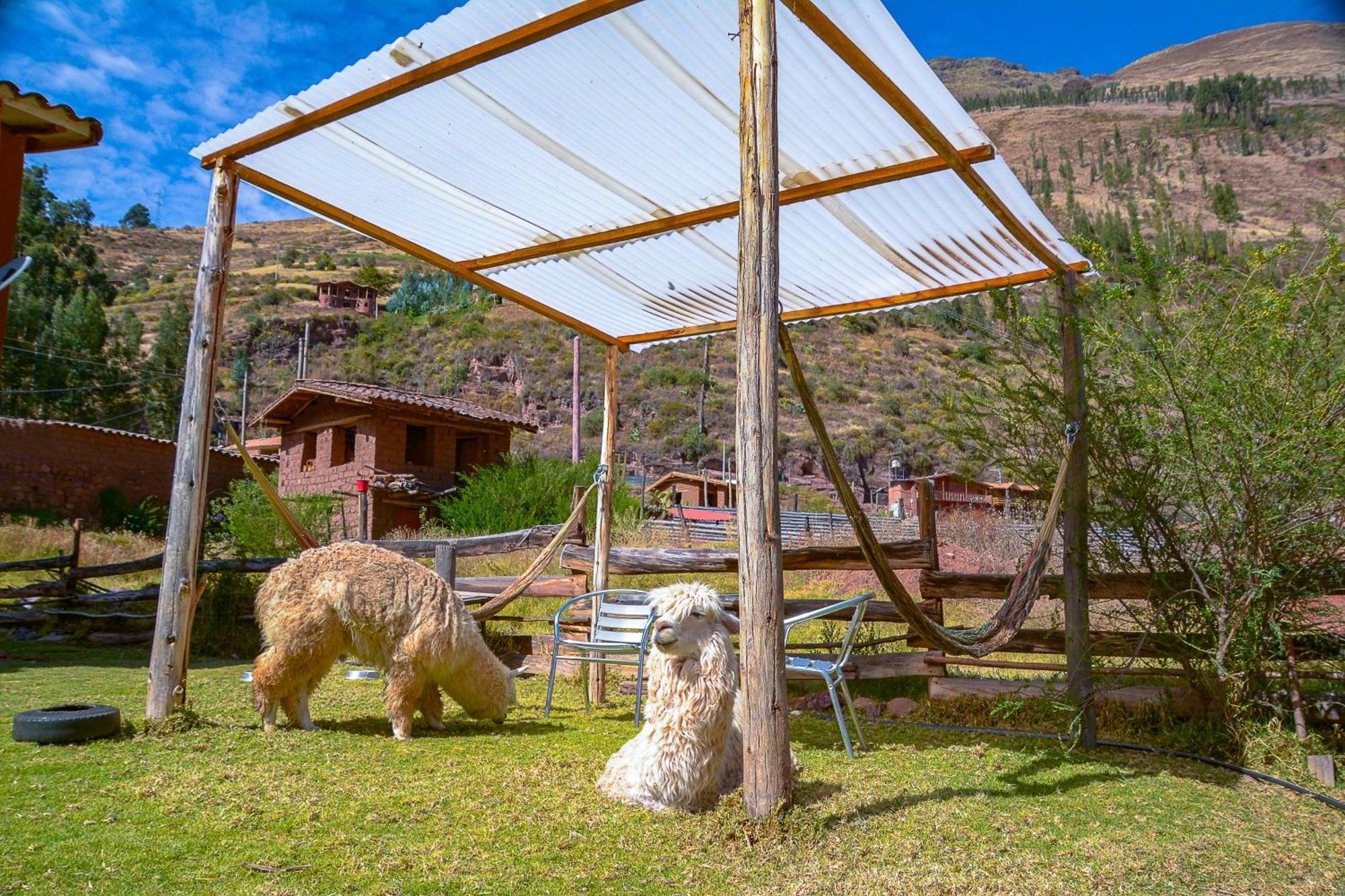 Ferienwohnung Manchitas Wasi Pisac Exterior foto
